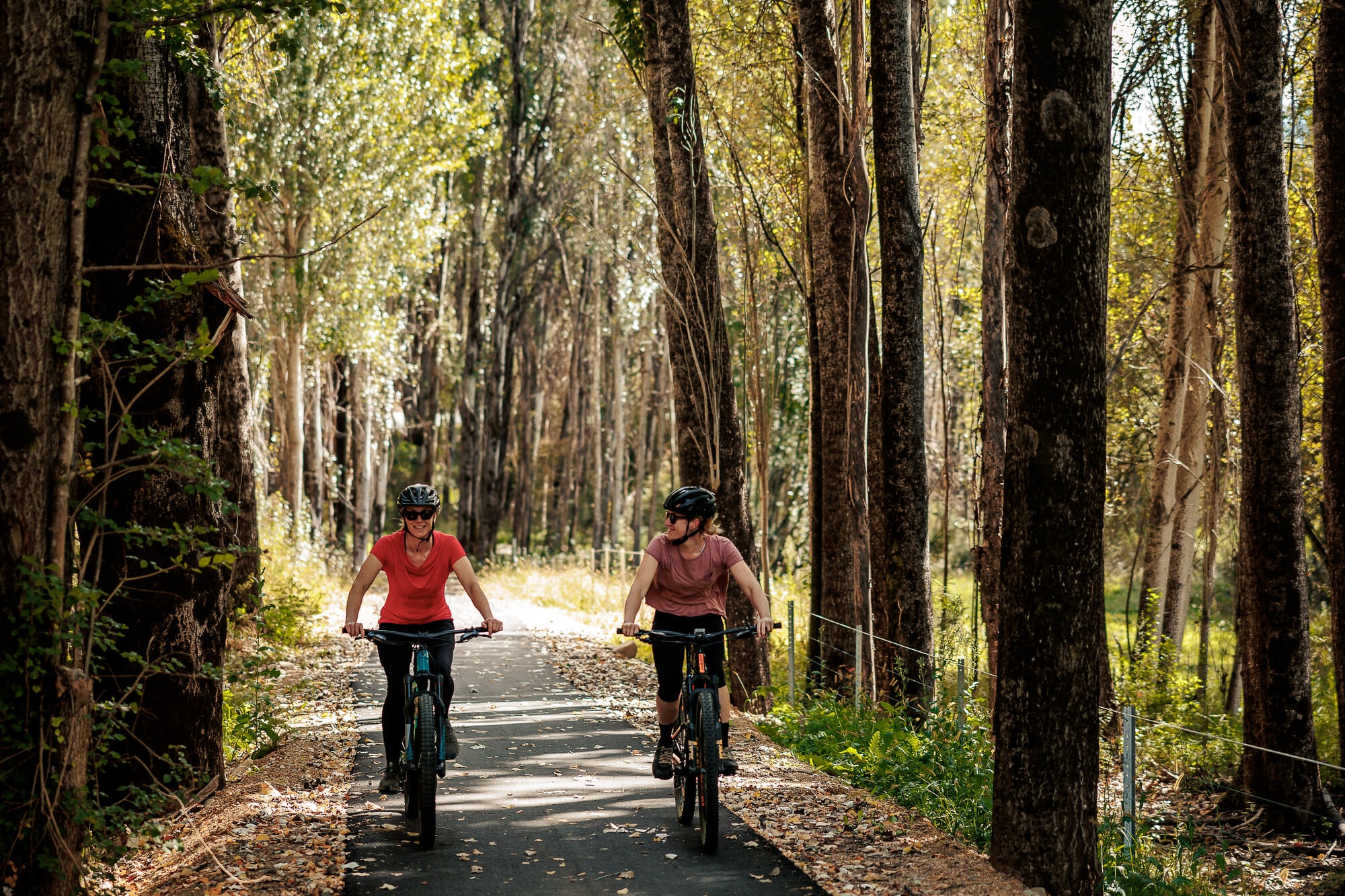 Two cyclists riding through trees on the Great Valley Trail that stretches between Bright and Harrietville
