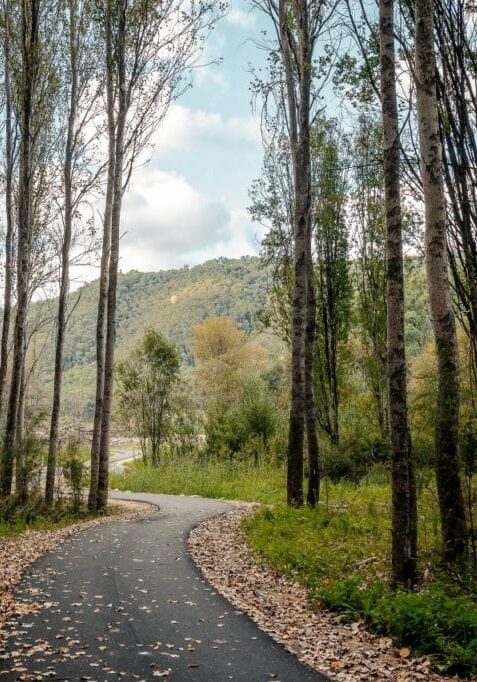 Great Valley Trail harrietville Cycle autumn 16_9