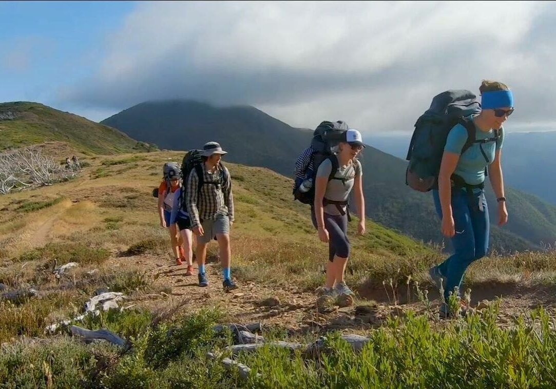 razorback feathertop summer 16_9